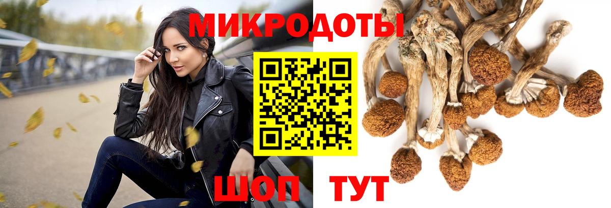 Наро-Фоминск  Псилоцибиновые грибы Psilocybe  Вход с VPN 